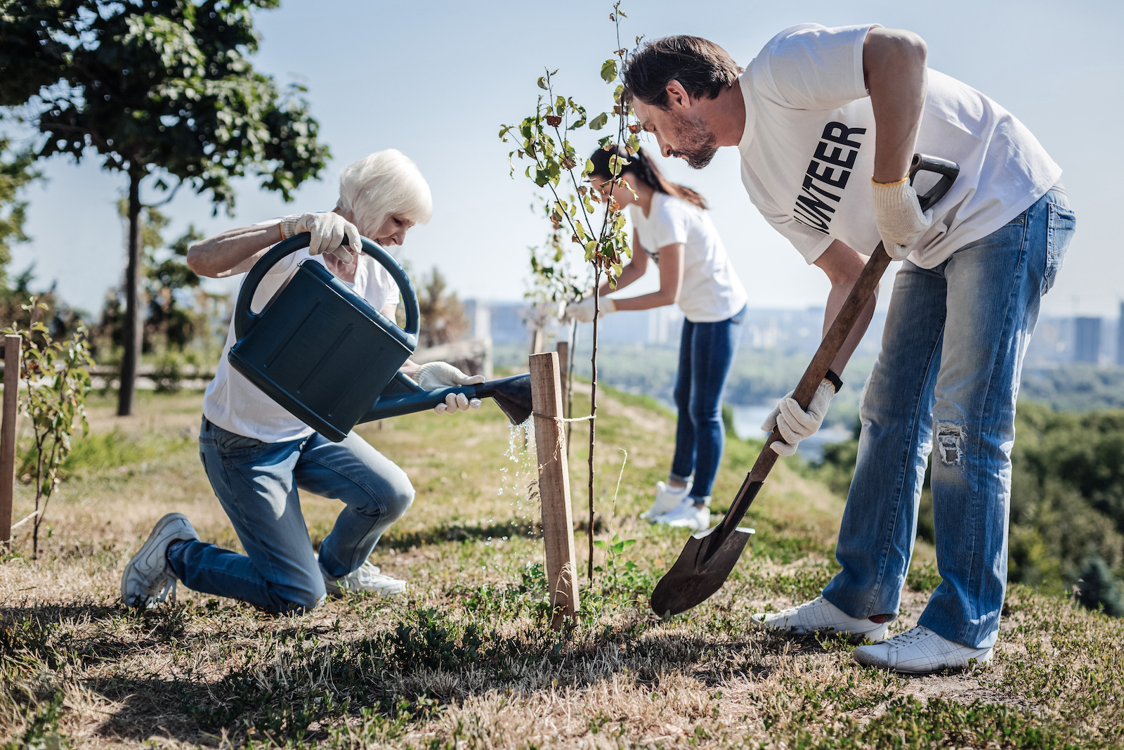 Ecological solutions. Nice positive hard working volunteers being in the garden and planting trees while working in team